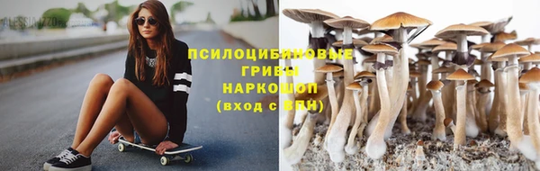 эйфоретик Алзамай