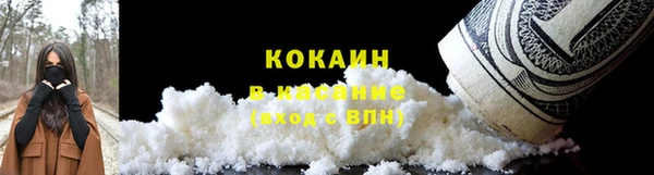 ПСИЛОЦИБИНОВЫЕ ГРИБЫ Алексеевка