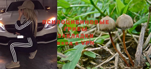 ПСИЛОЦИБИНОВЫЕ ГРИБЫ Алексеевка