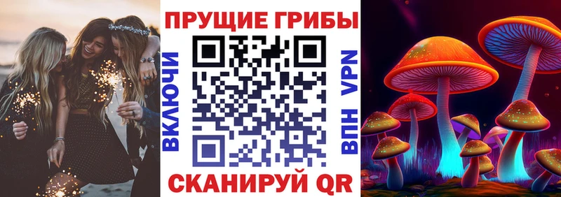 Псилоцибиновые грибы Magic Shrooms  Тотьма 